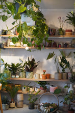 Load image into Gallery viewer, PLANT POT PAINTING @ UPROOTED