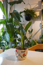 Load image into Gallery viewer, PLANT POT PAINTING @ UPROOTED