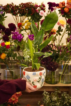 Load image into Gallery viewer, PLANT POT PAINTING @ UPROOTED
