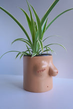 Load image into Gallery viewer, SKIN COLOURED PLANTER

